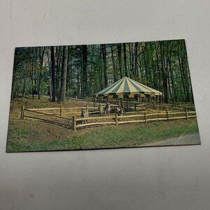 Vtg‎ Cooperstown NY Postcard Woodland Museum Donkeys Ponies Unposted